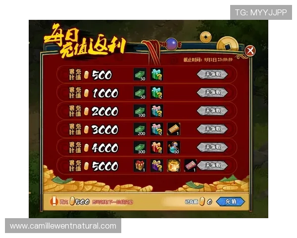 博乐真人官网网站优惠活动与充值返利政策全面介绍