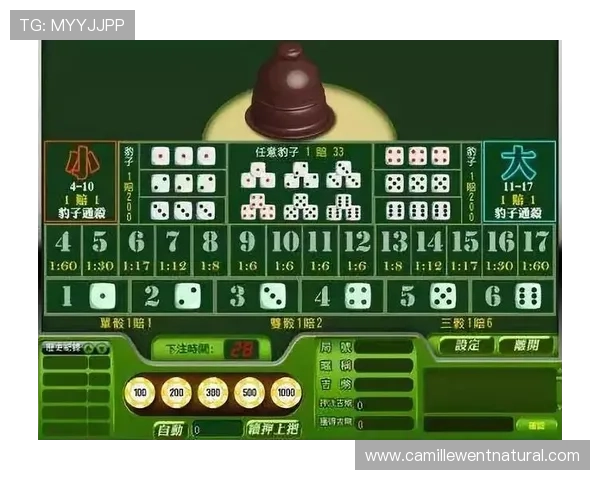 百家乐网站技巧全面解析助你提升赢钱概率掌握实用策略