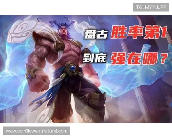 掌握百家了稳赢打法3庄3闲的核心技巧提升游戏胜率的实用方法